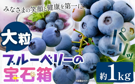 ブルーベリー 大粒 1kg ベリーの宝石箱