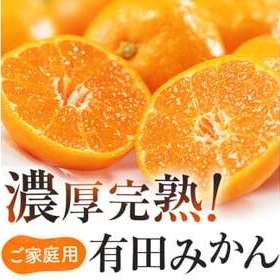 【10月発送】有田育ちのご家庭用完熟 有田みかん 5kg+200g※2026年10月中旬～11月中旬頃に順次発送 ※北海道・沖縄・離島配送不可 / みかん ミカン 果物 フルーツ 柑橘【ard186D-10】