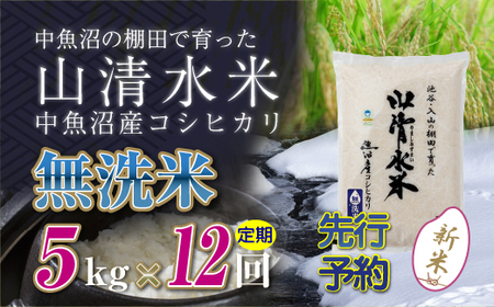 【令和8年産 先行予約】【定期便／全12回】無洗米5kg 新潟県魚沼産コシヒカリ「山清水米」