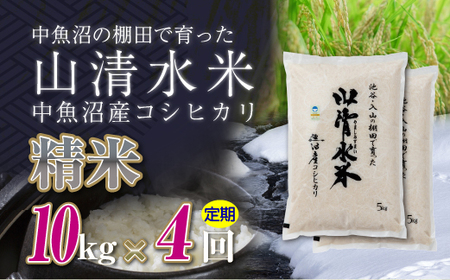 【定期便／全4回】精米10kg 新潟県魚沼産コシヒカリ「山清水米」 