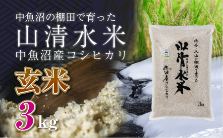 新潟県魚沼産コシヒカリ「山清水米」玄米3kg 