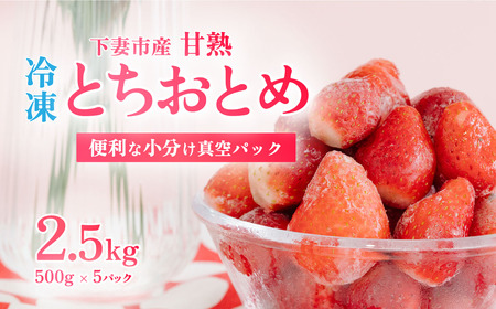 いちご 冷凍 訳あり 2.5kg いちご