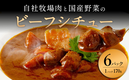 [720牧場グループ牛]自社牧場肉と国産野菜のビーフシチュー 170g×6パック 「720牧場グループ牛」100%使用 ビーフシチュー デミグラスソース 牛肉 惣菜 レトルト 便利 時短 おかず 保存食 簡単調理 おうちごはん 宮崎県 えびの市 送料無料