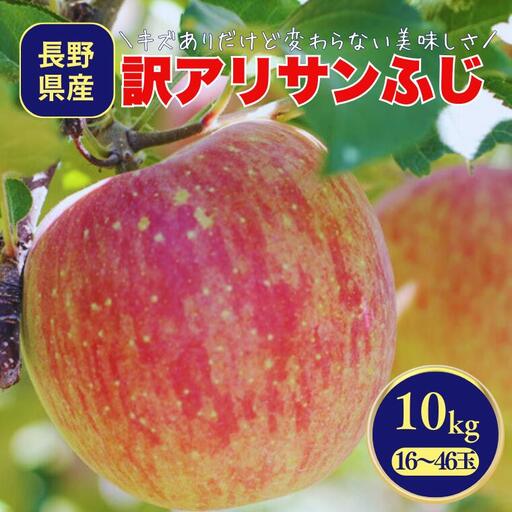 りんご サンふじ(長野県産訳あり品) 約10kg / 2027年1月上旬〜2月上旬頃 配送予定 // 長野県 南信州 さんふじ サンフジ ふじりんご 訳あり 訳アリ 家庭用 自宅用 リンゴ 林檎 ふじ