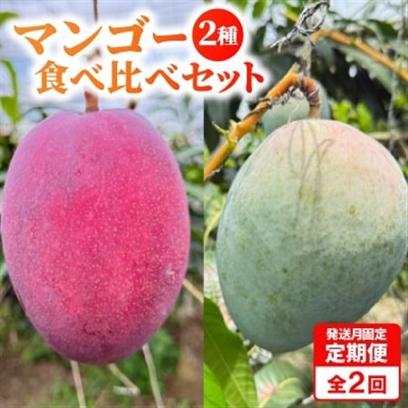 [発送月固定定期便]2027年発送 完熟アップルマンゴー&キーツマンゴー 食べ比べ 全2回[配送不可地域:離島]