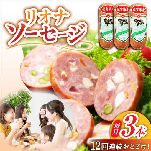 【12回定期便】リオナソーセージ 200g×3本 /宮地ハム [UBM032] ソーセージ