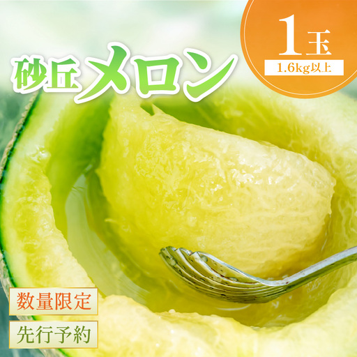 メロン/砂丘メロン 2L以上 1玉
