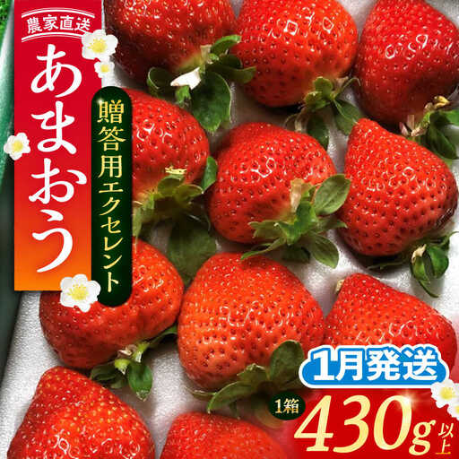 【先行予約】【1月発送】あまおう 贈答用 エクセレント 430g以上×1箱 [VAB009]果物 いちご あまおう