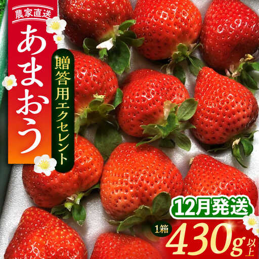 【先行予約】【12月発送】あまおう 贈答用 エクセレント 430g以上×1箱[VAB013]あまおう