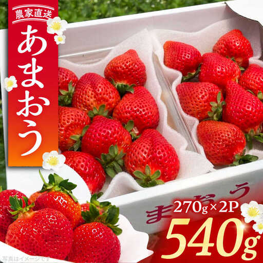 [先行予約][2月-4月発送]農家直送 あまおう 540g(270g以上×2P) 土耕栽培[VAB014]果物 いちご