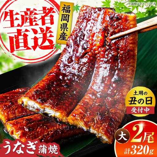 鰻 蒲焼大2尾 計320g 鰻 VAD002