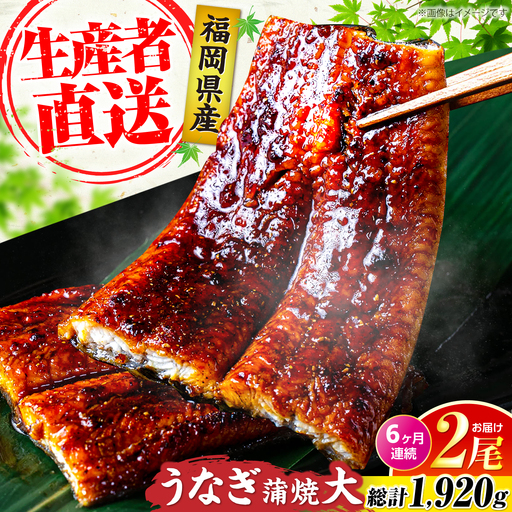 【全6回定期便】福岡県産 うなぎ 蒲焼 大2尾 計320g VAD012 うなぎ