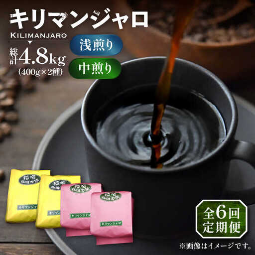 【全6回定期便】キリマンジャロ コーヒー 2種 ( 浅煎り フルーツフレーバー ＆ 中煎り チョコレートフレーバー )[VAS192]珈琲 コーヒー 