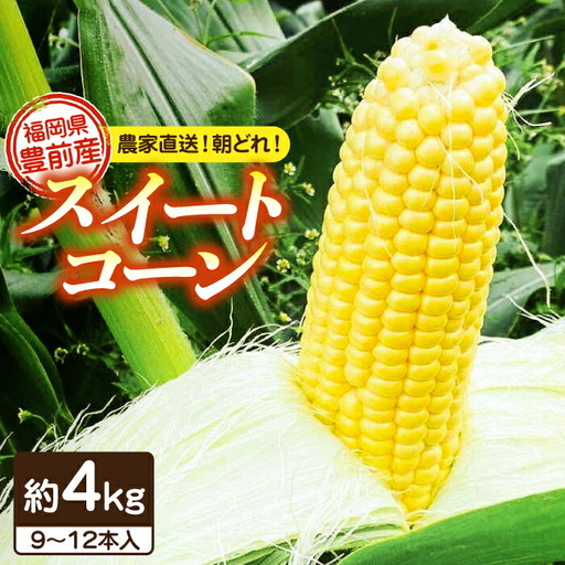 【先行予約】スイートコーン 約4kg 9-12本 VBC001 コーン とうもろこし