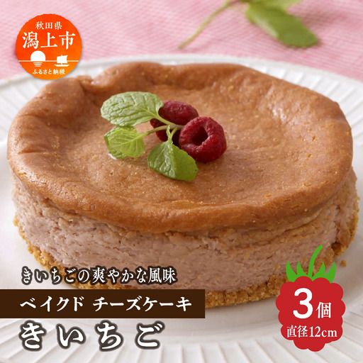 きいちごベイクドチーズケーキ 3個セット【飯田川つくし苑】