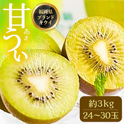 【先行予約】キウイ 約3kg 24-30玉 VBY005 キウイフルーツ