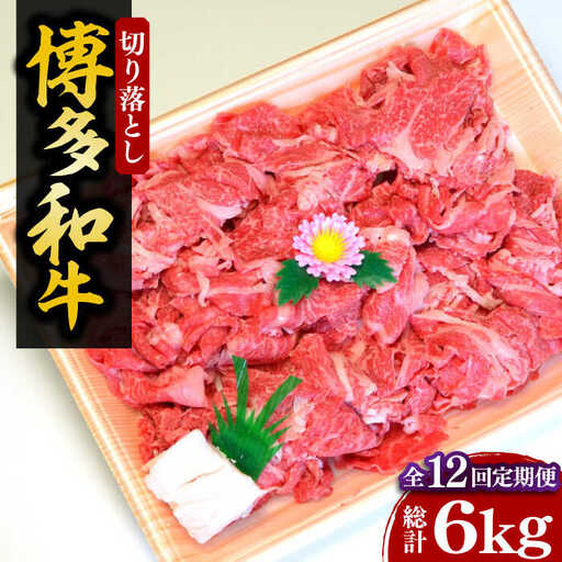【全12回定期便】【化粧箱入】博多和牛A5〜A4 切り落とし 500g[VCL113]