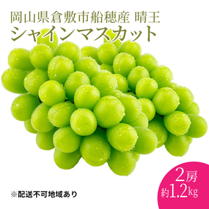 ぶどう 2026年度分 先行予約 【プレミアムシャインマスカット 晴王 2房 約1.2kg】 岡山県産 シャインマスカット
