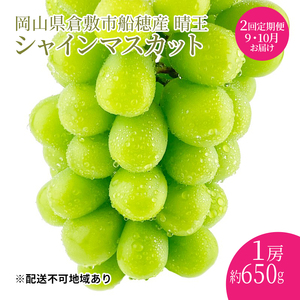 ぶどう 2026年度分 先行予約 [プレミアムシャインマスカット 晴王 1房 約650g 定期便 2回]船穂産 赤秀品以上 岡山県産 葡萄 ブドウ ギフト ハレノフルーツ 皮ごと食べる みずみずしい
