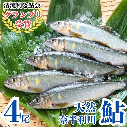 107001 奈半利川の友釣り天然アユ(冷凍)4尾