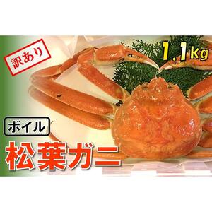 [魚倉]足1本なしボイル松葉ガニ (特特大1,100g) 訳あり