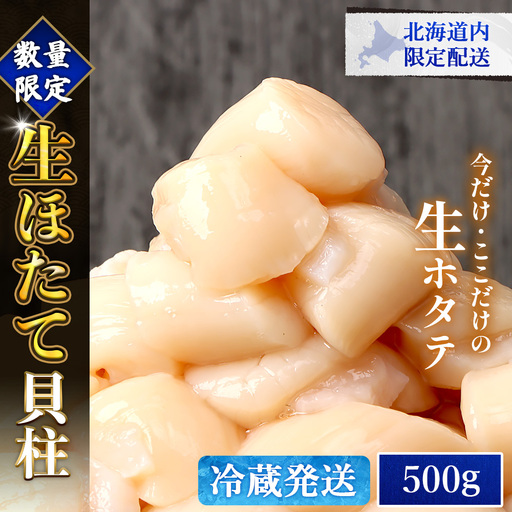 【北海道内限定配送！生ほたて】《期間限定》北海道雄武産 生玉ほたて500ｇ 塩水パック（冷蔵）【0712803】