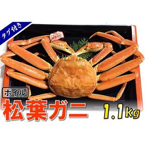 [魚倉]タグ付きボイル松葉ガニ (特特大1,100g)