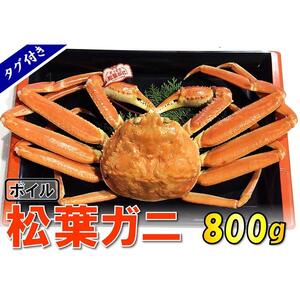 【魚倉】タグ付きボイル松葉ガニ (大800g)