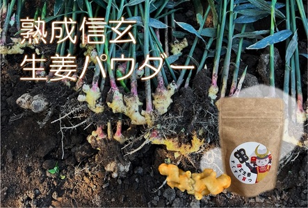 熟成信玄生姜パウダー