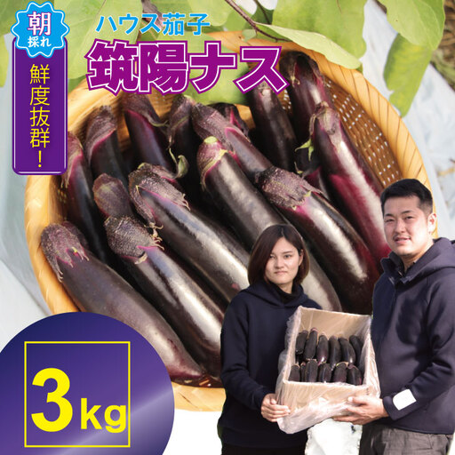 【先行予約】小城市産 筑陽ナス 3kg 朝採れ 新鮮 ハウス栽培 茄子 A080-041