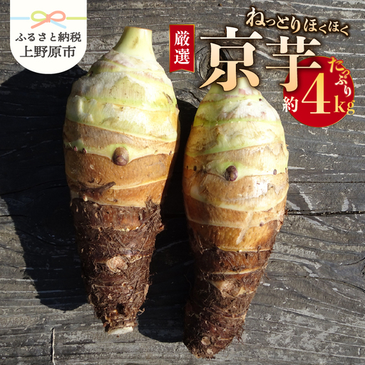 [2026年先行予約]◆◆2026年度収穫分◆◆ 「農家 農天氣がおくる」山梨県上野原市産 京芋 約4kg