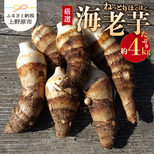 [2026年先行予約]◆◆2026年度収穫分◆◆ 「農家 農天氣がおくる」山梨県上野原市産 海老芋 約4kg