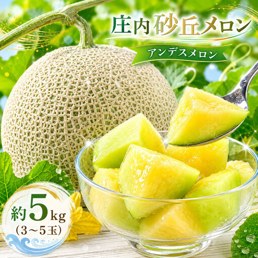 [令和8年産先行予約]菅原農園の庄内砂丘メロン 約5kg (3玉〜5玉) アンデス メロン [7月下旬〜8月上旬] K-835 菅原農園 鶴岡地区物産協同組合 