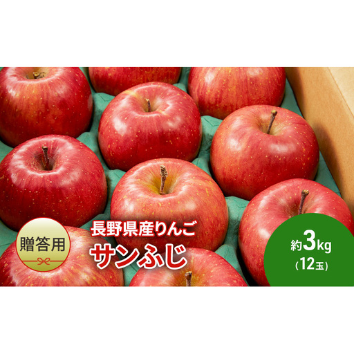 りんご 長野 贈答用 サンふじ 約3kg りんご