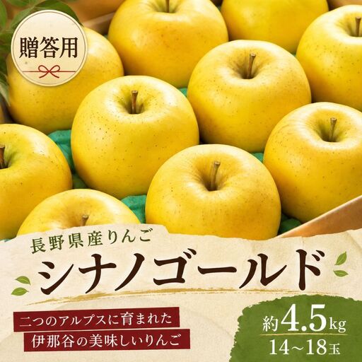 りんご 長野 贈答用 リンゴ シナノゴールド 約4.5kg（14玉～18玉） 産地直送 ギフト プレゼント 贈答 贈答品 贈り物 フルーツ 果物 デザート おやつ 秋 旬 信州 長野県