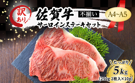 佐賀牛 サーロイン ステーキ 佐賀牛[5kg(250g×2枚入×10p)][A4〜A5 訳あり]