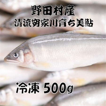 野田村産　清流安家川育ち美鮎　500g【配送不可地域：離島】【1481002】