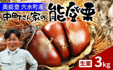 【先行予約】中町栗園 の 能登栗 3kg