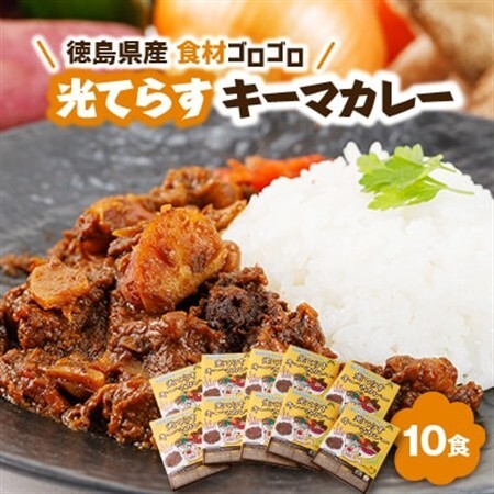 徳島県産食材ゴロゴロキーマカレー　10食入り_惣菜・加工品 カレー  _【1477627】
