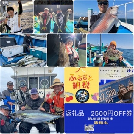 徳島清和丸 阿南沖釣り船 割引チケット×5枚セット_旅行券・チケット 釣り 体験チケット _【1494667】