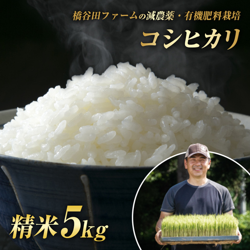 令和8年産 減農薬・有機肥料栽培コシヒカリ 精米 5kg 米 お米 おこめ ご飯 ごはん 福島県 西会津町 F4D-2471