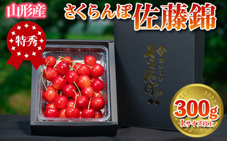 さくらんぼ 「佐藤錦」 300g 特秀品 Lサイズ以上 山形産 [令和9年産先行予約] FS24-668 くだもの 果物 フルーツ 山形 山形県 山形市