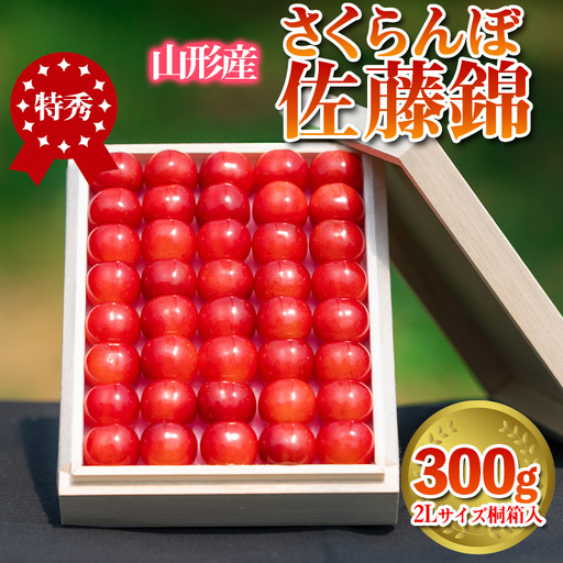 さくらんぼ 「佐藤錦」 300g 特秀品 2Lサイズ 桐箱入 山形産【令和9年産先行予約】  FS24-033 くだもの 果物 フルーツ 山形 山形県 山形市 2027年産