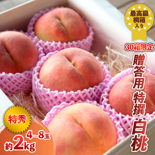 最高級桐箱入り 贈答用 特撰 白桃 約2kg (30箱限定)【令和8年産先行予約】 FS24-045 くだもの 果物 フルーツ 山形 山形県 山形市 2026年産