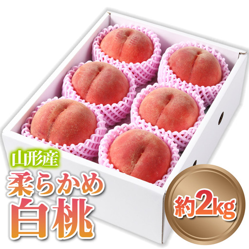山形産 柔らかめ 「白桃」 秀品 約2kg (5玉～8玉)【令和8年産先行予約】FS24-081 くだもの 果物 フルーツ 山形 山形県 山形市 2026年産