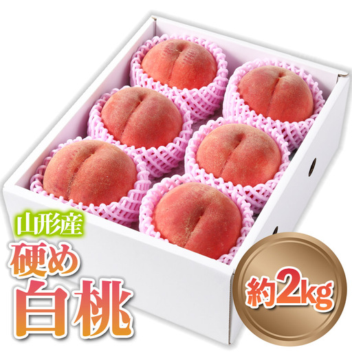 山形産 硬め 「白桃」 秀品 約2kg (5玉～8玉)【令和8年産先行予約】 FS24-083 くだもの 果物 フルーツ 山形 山形県 山形市 2026年産