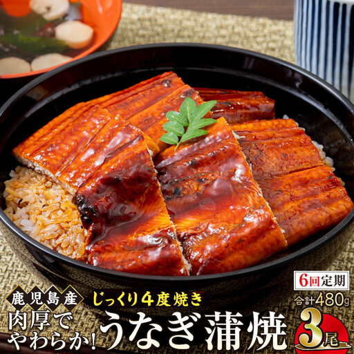 【6回定期】うなぎ 蒲焼 160g×3尾【鹿児島産】地下水で育てた絶品鰻｜国産 うなぎ 鰻 蒲焼 かばやき 魚 魚介 魚貝 海鮮 うな重 ひつまぶし ギフト 人気 おすすめ 大崎町 大隅半島