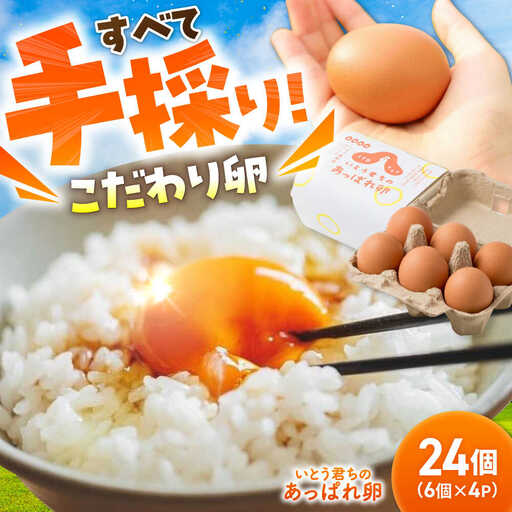 あっぱれ卵 24個 |いとう養鶏場 [UAQ001] 卵