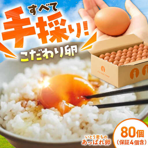 あっぱれたまご80個[UAQ002]たまご