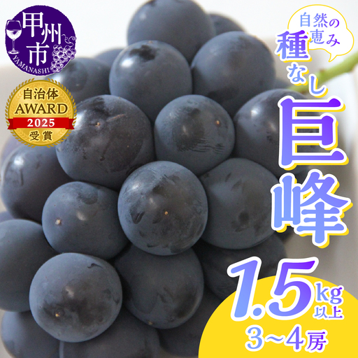 産地直送 山梨自然の恵み！種なし巨峰 3～4房 1.5kg以上【2026年発送】（LKS）B12-162 巨峰 フルーツ